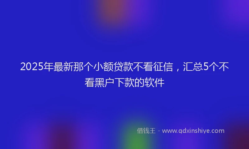 2025年最新那个小额贷款不看征信，汇总5个不看黑户下款的软件