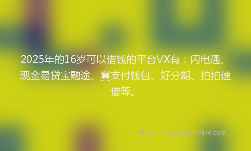 2025年的16岁可以借钱的平台VX有：闪电通、现金易贷宝融途、翼支付钱包、好分期、拍拍速借等。