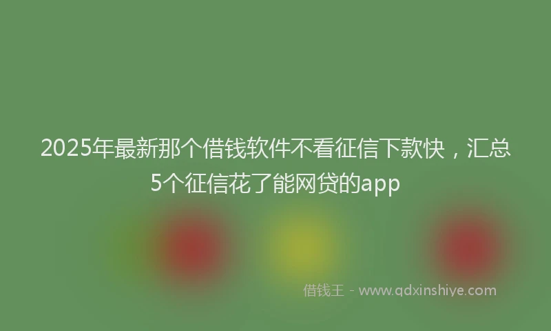 2025年最新那个借钱软件不看征信下款快，汇总5个征信花了能网贷的app