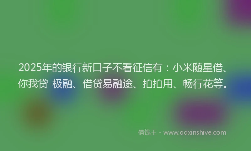 2025年的银行新口子不看征信有：小米随星借、你我贷-极融、借贷易融途、拍拍用、畅行花等。