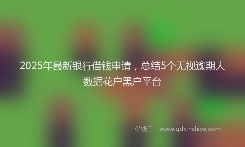2025年最新银行借钱申请，总结5个无视逾期大数据花户黑户平台