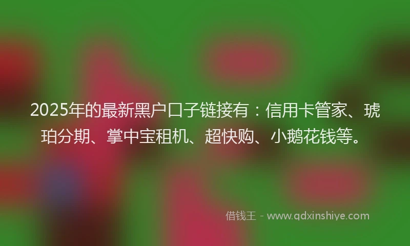 2025年的最新黑户口子链接有：信用卡管家、琥珀分期、掌中宝租机、超快购、小鹅花钱等。