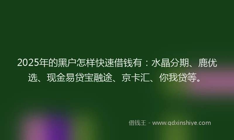 2025年的黑户怎样快速借钱有：水晶分期、鹿优选、现金易贷宝融途、京卡汇、你我贷等。