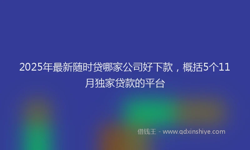 2025年最新随时贷哪家公司好下款，概括5个11月独家贷款的平台