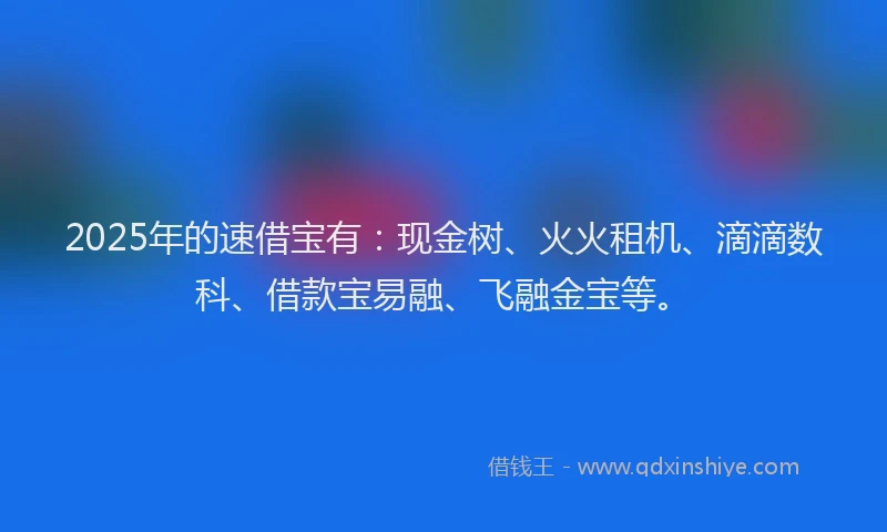 2025年的速借宝有：现金树、火火租机、滴滴数科、借款宝易融、飞融金宝等。