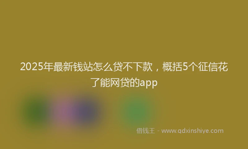 2025年最新钱站怎么贷不下款，概括5个征信花了能网贷的app