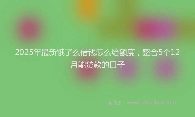 2025年最新饿了么借钱怎么给额度，整合5个12月能贷款的口子