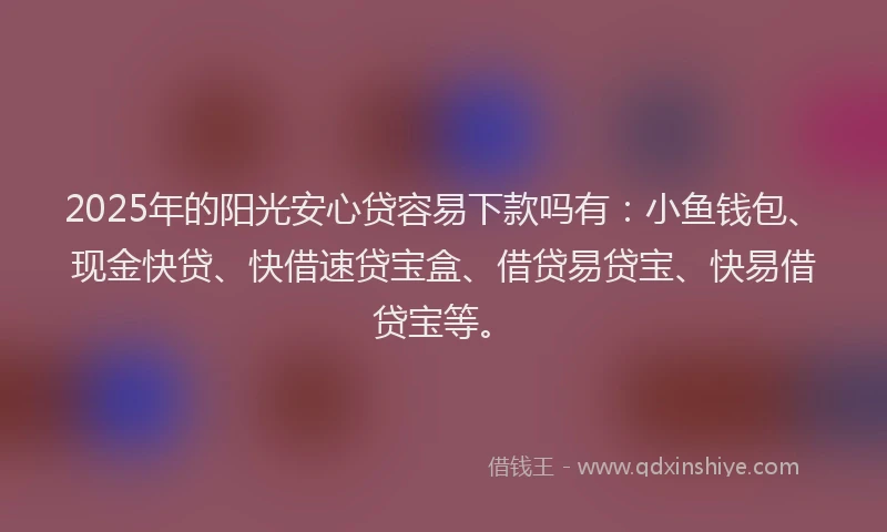 2025年的阳光安心贷容易下款吗有：小鱼钱包、现金快贷、快借速贷宝盒、借贷易贷宝、快易借贷宝等。