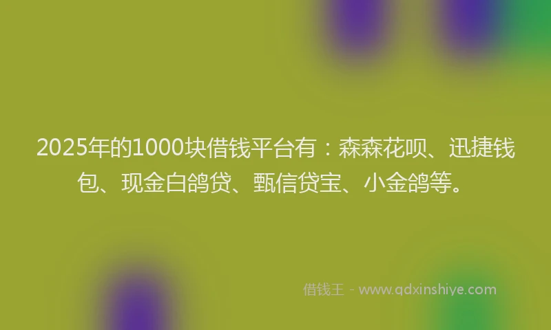 2025年的1000块借钱平台有：森森花呗、迅捷钱包、现金白鸽贷、甄信贷宝、小金鸽等。