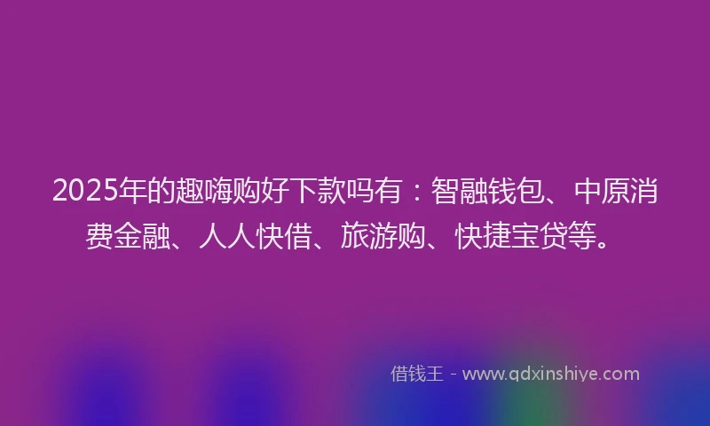 2025年的趣嗨购好下款吗有：智融钱包、中原消费金融、人人快借、旅游购、快捷宝贷等。