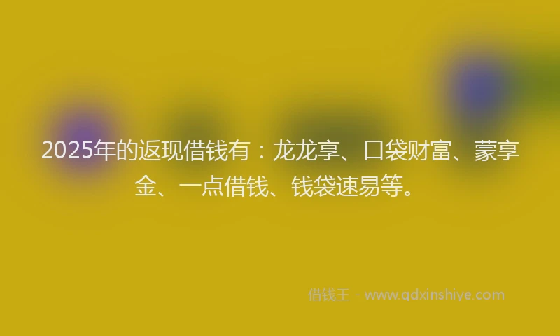 2025年的返现借钱有：龙龙享、口袋财富、蒙享金、一点借钱、钱袋速易等。
