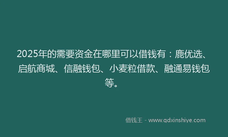 2025年的需要资金在哪里可以借钱有：鹿优选、启航商城、信融钱包、小麦粒借款、融通易钱包等。