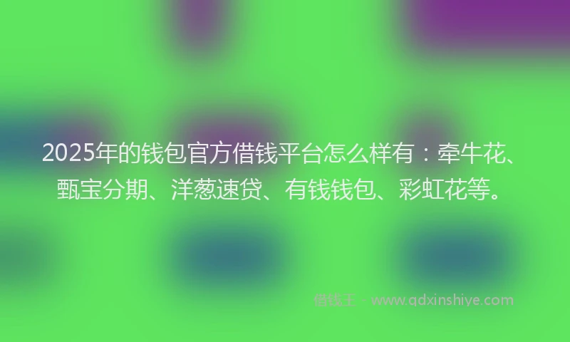 2025年的钱包官方借钱平台怎么样有：牵牛花、甄宝分期、洋葱速贷、有钱钱包、彩虹花等。
