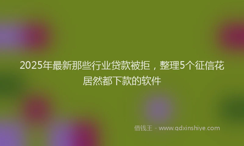 2025年最新那些行业贷款被拒，整理5个征信花居然都下款的软件