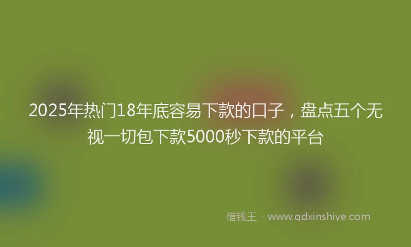 2025年热门18年底容易下款的口子，盘点五个无视一切包下款5000秒下款的平台