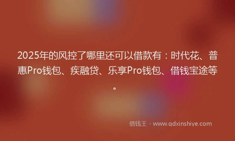 2025年的风控了哪里还可以借款有：时代花、普惠Pro钱包、疾融贷、乐享Pro钱包、借钱宝途等。