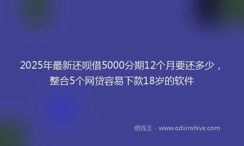 2025年最新还呗借5000分期12个月要还多少，整合5个网贷容易下款18岁的软件
