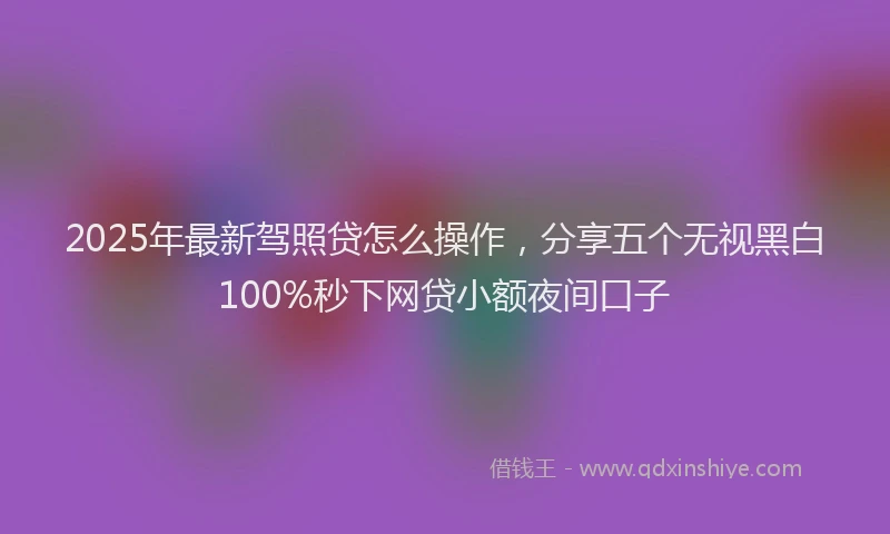 2025年最新驾照贷怎么操作，分享五个无视黑白100%秒下网贷小额夜间口子