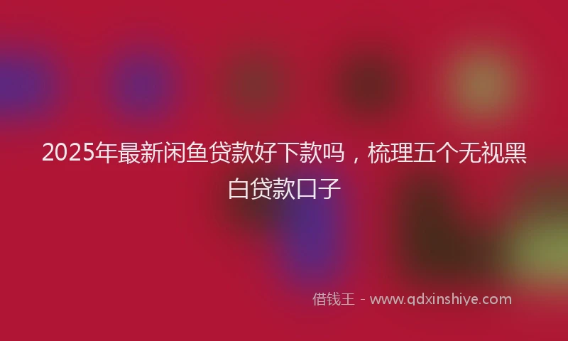2025年最新闲鱼贷款好下款吗，梳理五个无视黑白贷款口子