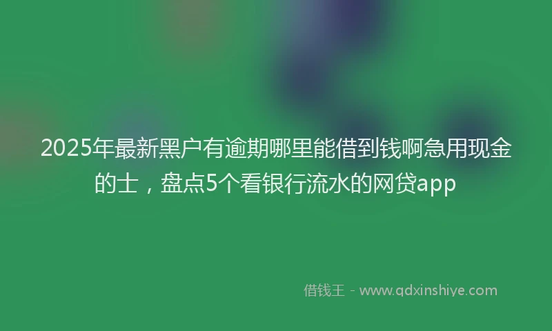 2025年最新黑户有逾期哪里能借到钱啊急用现金的士，盘点5个看银行流水的网贷app