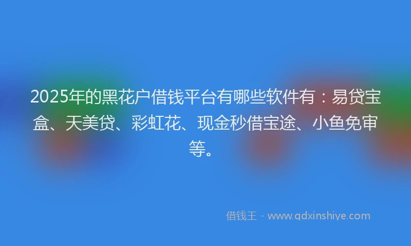 2025年的黑花户借钱平台有哪些软件有：易贷宝盒、天美贷、彩虹花、现金秒借宝途、小鱼免审等。