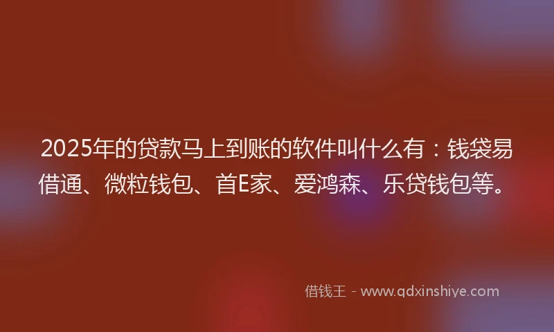 2025年的贷款马上到账的软件叫什么有：钱袋易借通、微粒钱包、首E家、爱鸿森、乐贷钱包等。