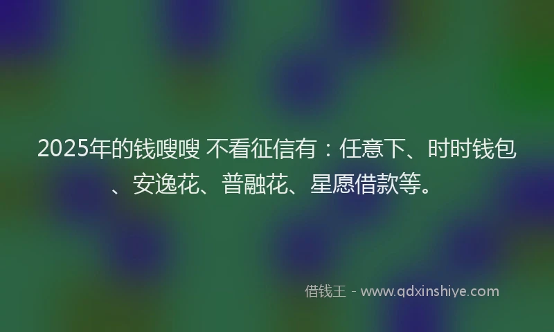 2025年的钱嗖嗖 不看征信有：任意下、时时钱包、安逸花、普融花、星愿借款等。