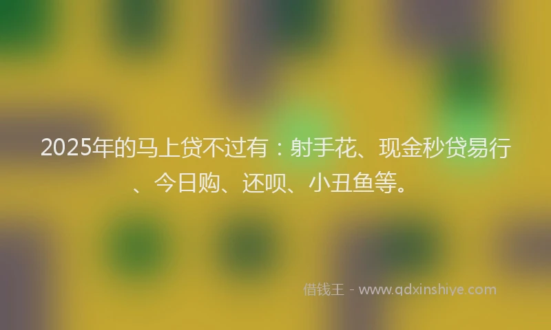 2025年的马上贷不过有：射手花、现金秒贷易行、今日购、还呗、小丑鱼等。