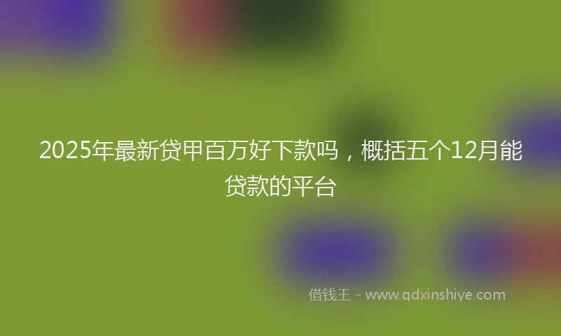 2025年最新贷甲百万好下款吗，概括五个12月能贷款的平台