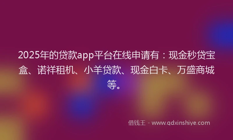 2025年的贷款app平台在线申请有：现金秒贷宝盒、诺祥租机、小羊贷款、现金白卡、万盛商城等。