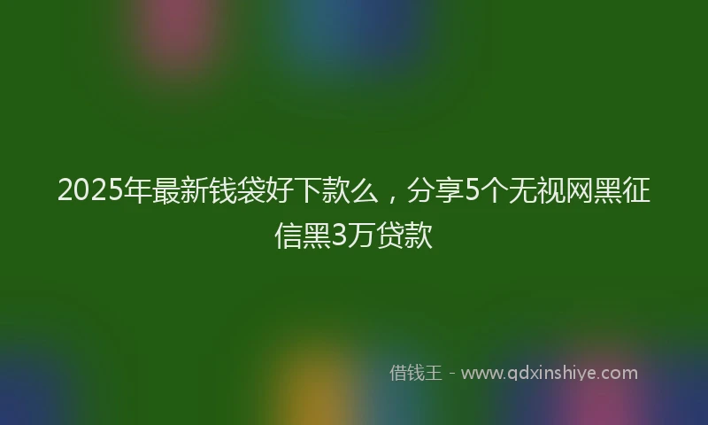 2025年最新钱袋好下款么，分享5个无视网黑征信黑3万贷款