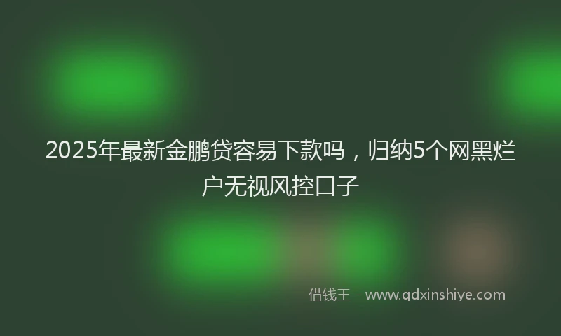 2025年最新金鹏贷容易下款吗，归纳5个网黑烂户无视风控口子