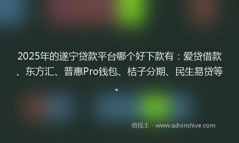 2025年的遂宁贷款平台哪个好下款有：爱贷借款、东方汇、普惠Pro钱包、桔子分期、民生易贷等。