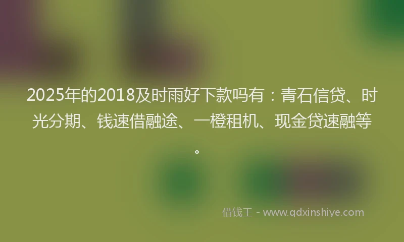 2025年的2018及时雨好下款吗有：青石信贷、时光分期、钱速借融途、一橙租机、现金贷速融等。