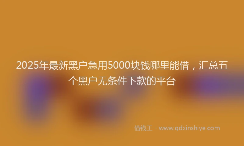 2025年最新黑户急用5000块钱哪里能借，汇总五个黑户无条件下款的平台
