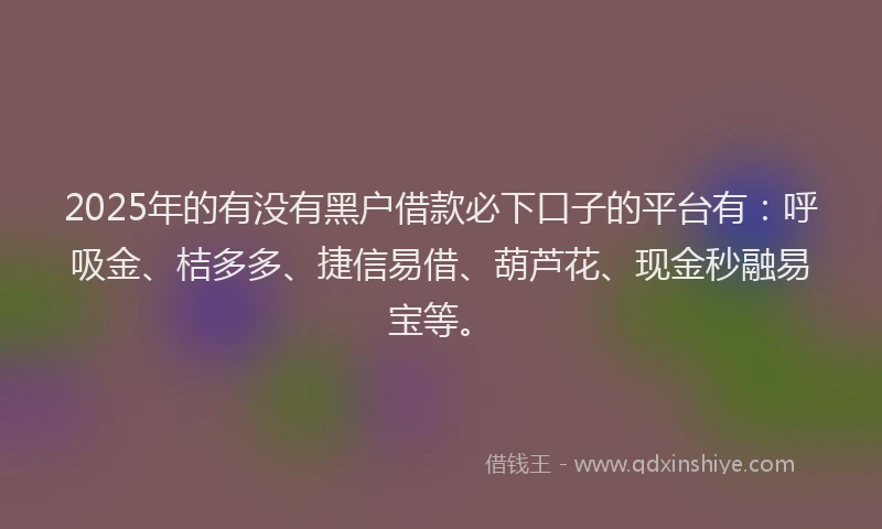 2025年的有没有黑户借款必下口子的平台有：呼吸金、桔多多、捷信易借、葫芦花、现金秒融易宝等。