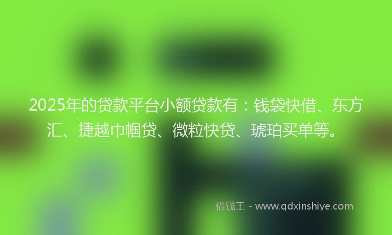 2025年的贷款平台小额贷款有：钱袋快借、东方汇、捷越巾帼贷、微粒快贷、琥珀买单等。
