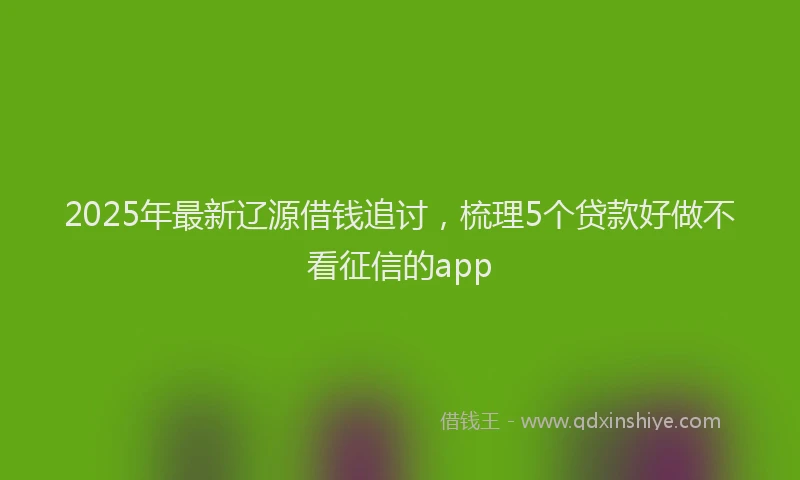 2025年最新辽源借钱追讨，梳理5个贷款好做不看征信的app