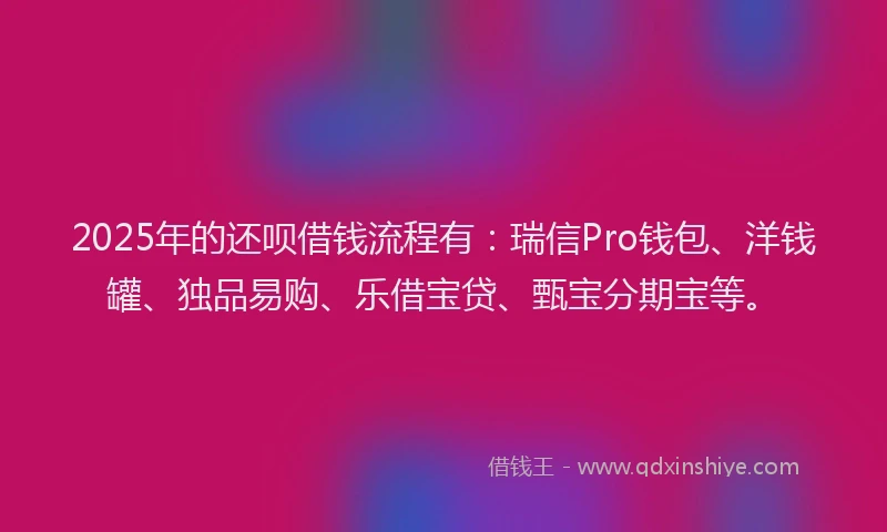 2025年的还呗借钱流程有：瑞信Pro钱包、洋钱罐、独品易购、乐借宝贷、甄宝分期宝等。
