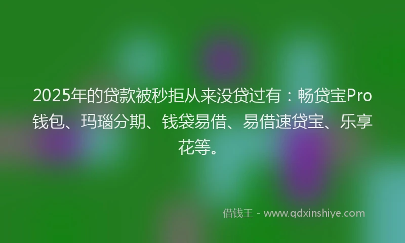 2025年的贷款被秒拒从来没贷过有：畅贷宝Pro钱包、玛瑙分期、钱袋易借、易借速贷宝、乐享花等。
