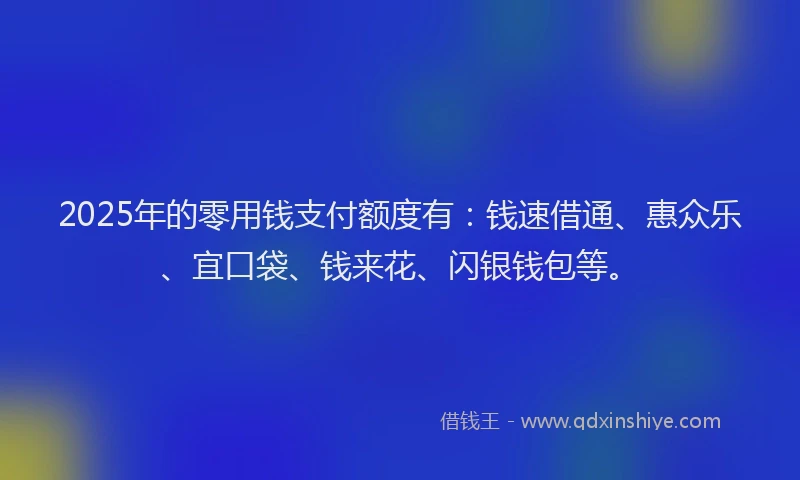 2025年的零用钱支付额度有：钱速借通、惠众乐、宜口袋、钱来花、闪银钱包等。