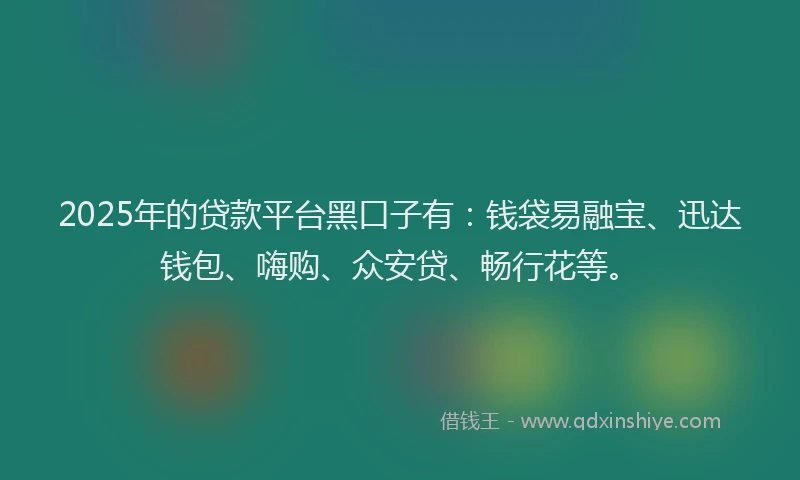 2025年的贷款平台黑口子有：钱袋易融宝、迅达钱包、嗨购、众安贷、畅行花等。
