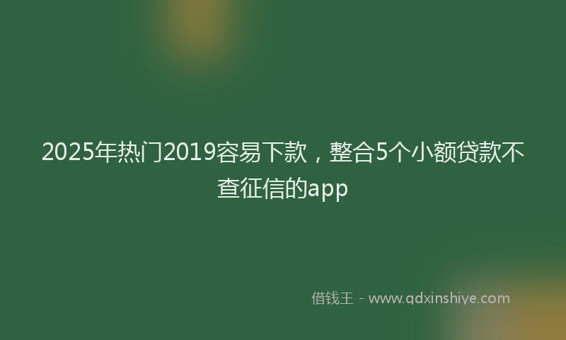 2025年热门2019容易下款，整合5个小额贷款不查征信的app