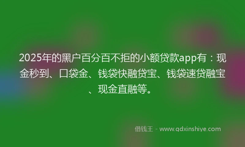 2025年的黑户百分百不拒的小额贷款app有：现金秒到、口袋金、钱袋快融贷宝、钱袋速贷融宝、现金直融等。