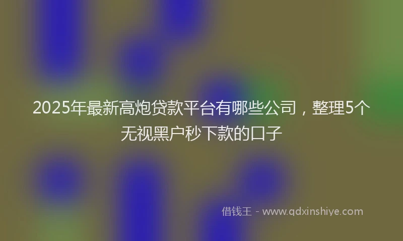 2025年最新高炮贷款平台有哪些公司，整理5个无视黑户秒下款的口子