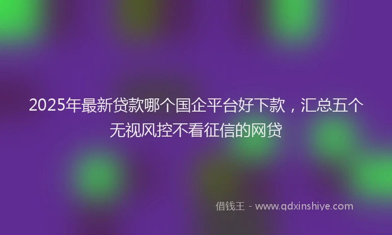 2025年最新贷款哪个国企平台好下款，汇总五个无视风控不看征信的网贷