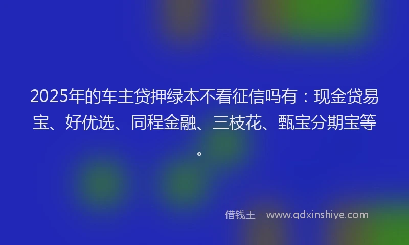 2025年的车主贷押绿本不看征信吗有：现金贷易宝、好优选、同程金融、三枝花、甄宝分期宝等。