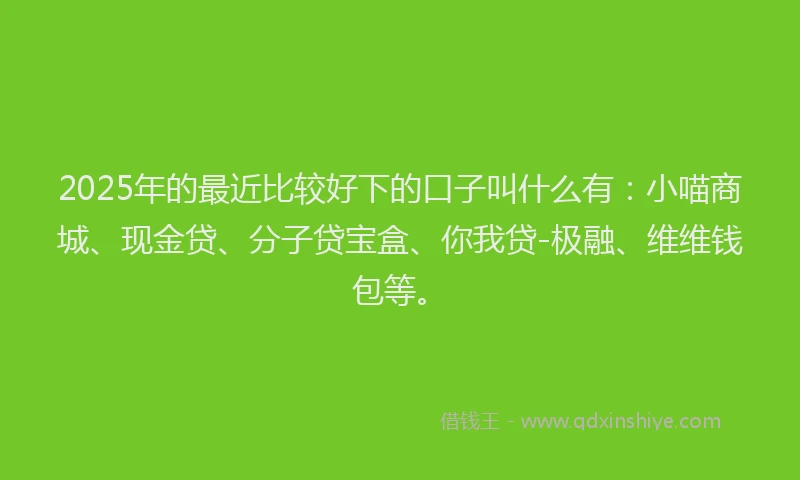 2025年的最近比较好下的口子叫什么有：小喵商城、现金贷、分子贷宝盒、你我贷-极融、维维钱包等。
