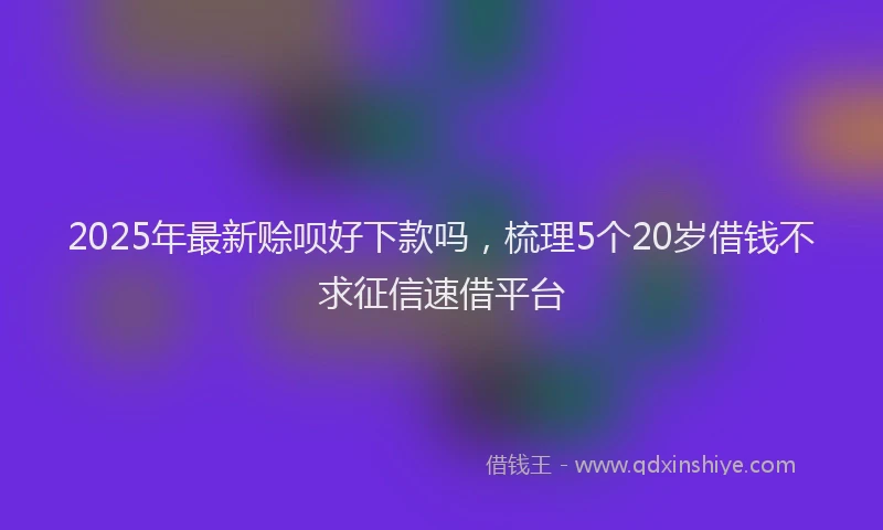 2025年最新赊呗好下款吗，梳理5个20岁借钱不求征信速借平台