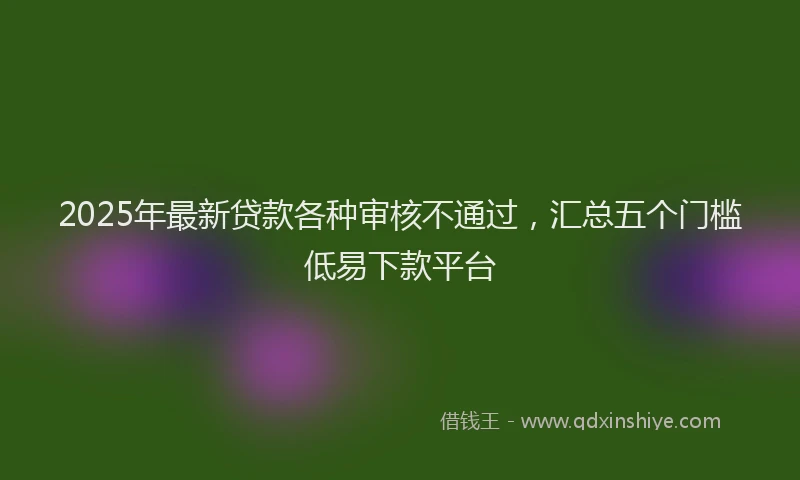 2025年最新贷款各种审核不通过，汇总五个门槛低易下款平台